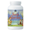 Nordic Berries Multivitamin for Adults & Children - Berry (120 Gummies)