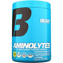 Aminolytes , 30 Servings Pineapple