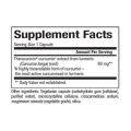Natural Factors CurcuminRich Double Strength Theracurmin 30 vcaps
