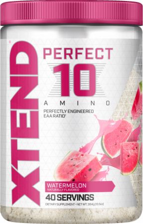 Xtend Perfect 10 Amino Powder