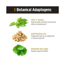 Om Mushrooms Master Blend 90g