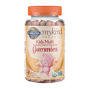 Garden of Life mykind Organics Kids Multi Gummies - Fruit 120 count