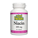Natural Factors B3 Niacin 100mg 90 tablets