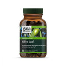 Gaia Herbs Olive Leaf 120 vcaps